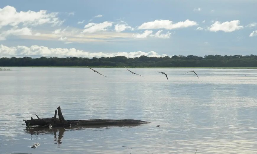 Seca: governo paga auxílio para pescadores